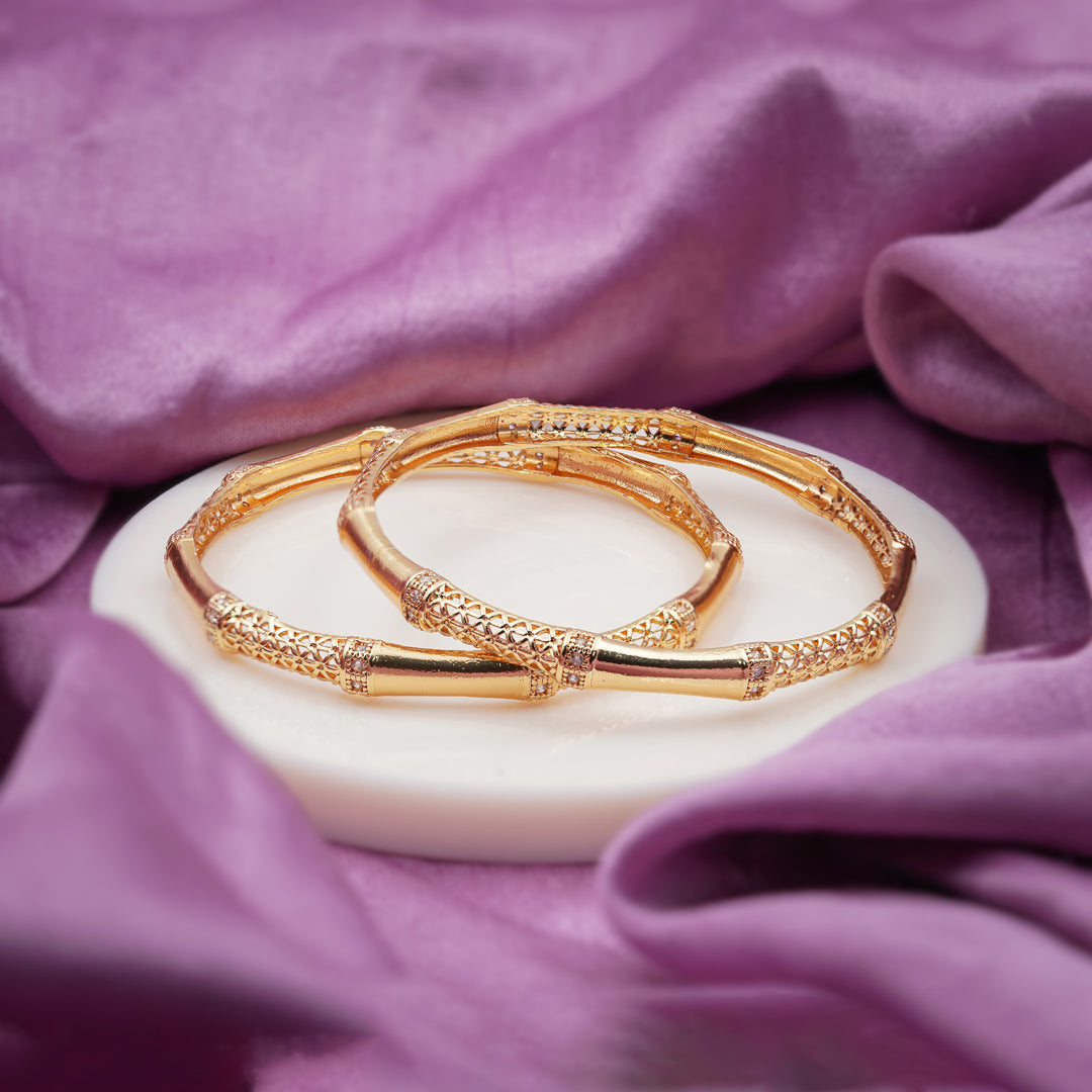 Parvati Womens Bangle's Set Of 2