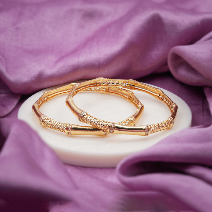 Parvati Womens Bangle's Set Of 2