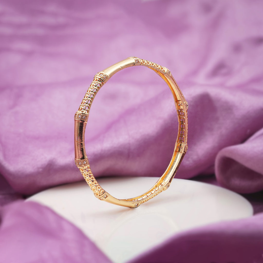 Parvati Womens Bangle's Set Of 2