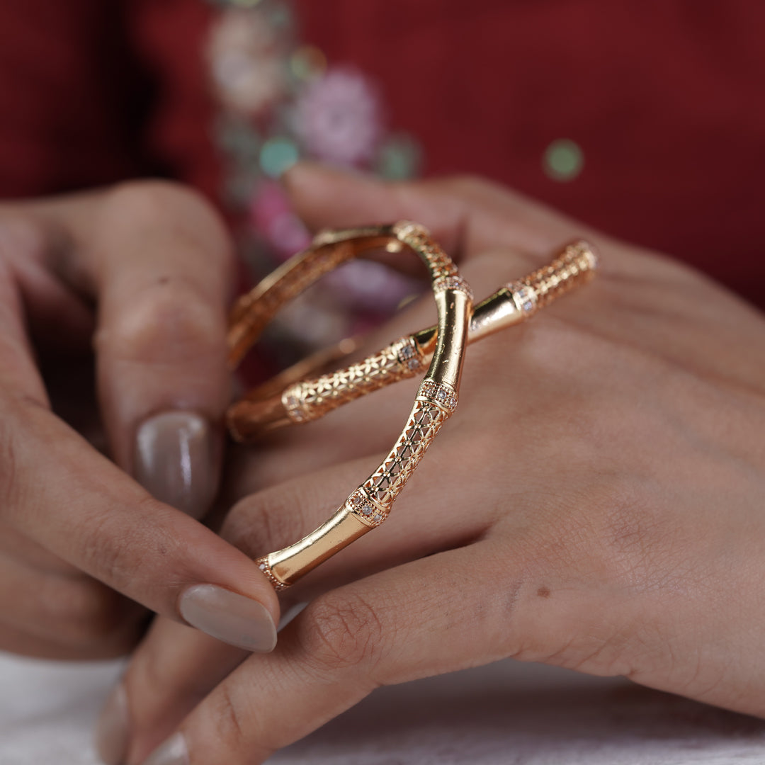 Parvati Womens Bangle's Set Of 2