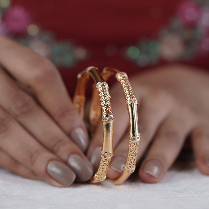 Parvati Womens Bangle's Set Of 2